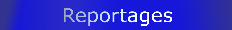 tekst